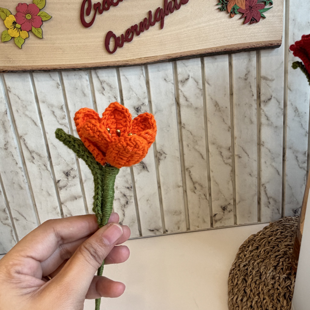 Open Tulip