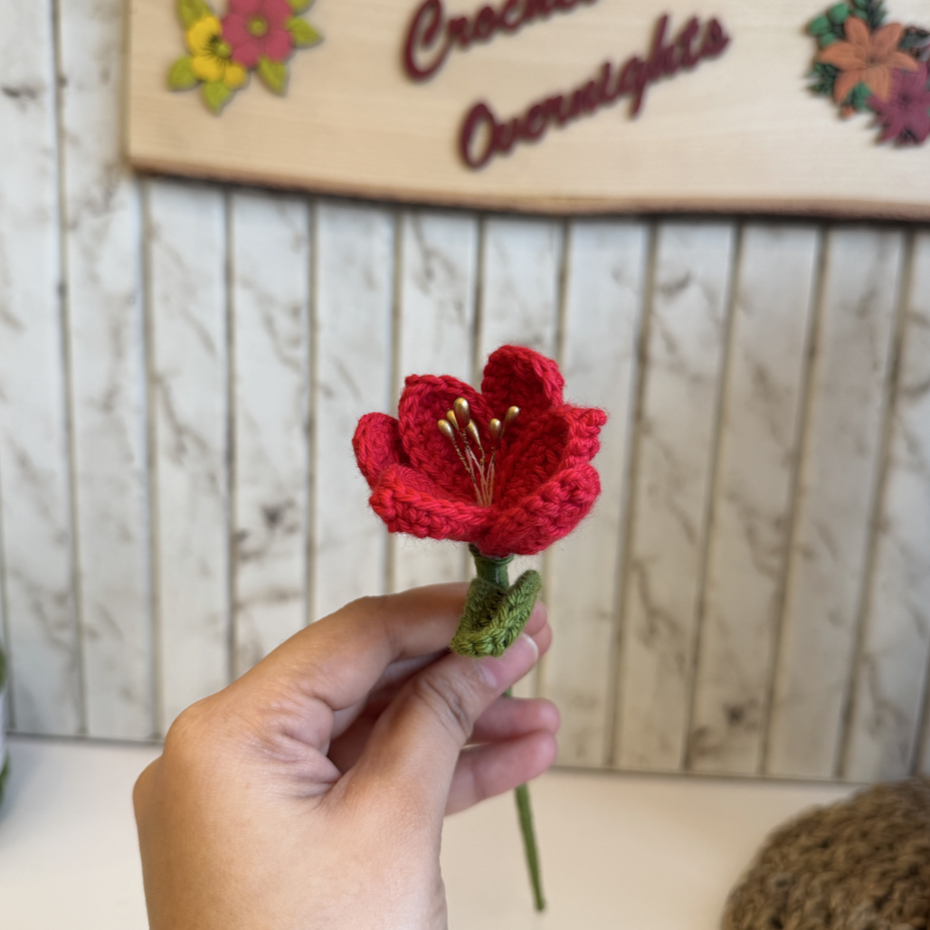 Open Tulip