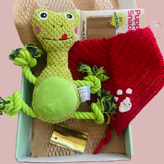 Frog Hamper