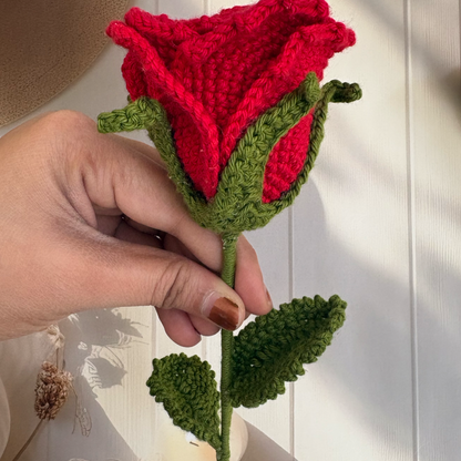 Rose (Large petals)