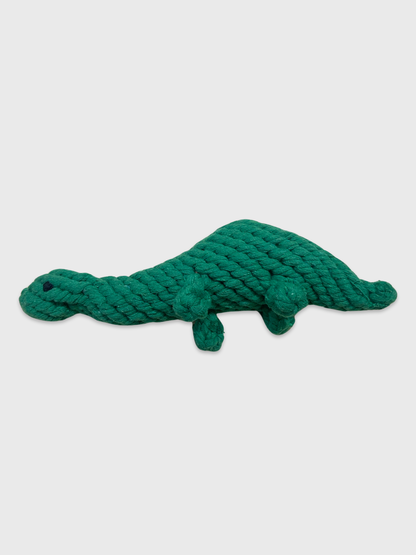 Dinosaur Chew Toy