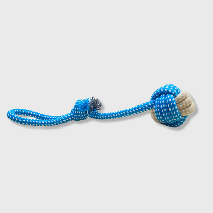 Ball Rope Toy (Blue)